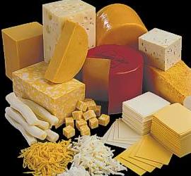 Cheese
